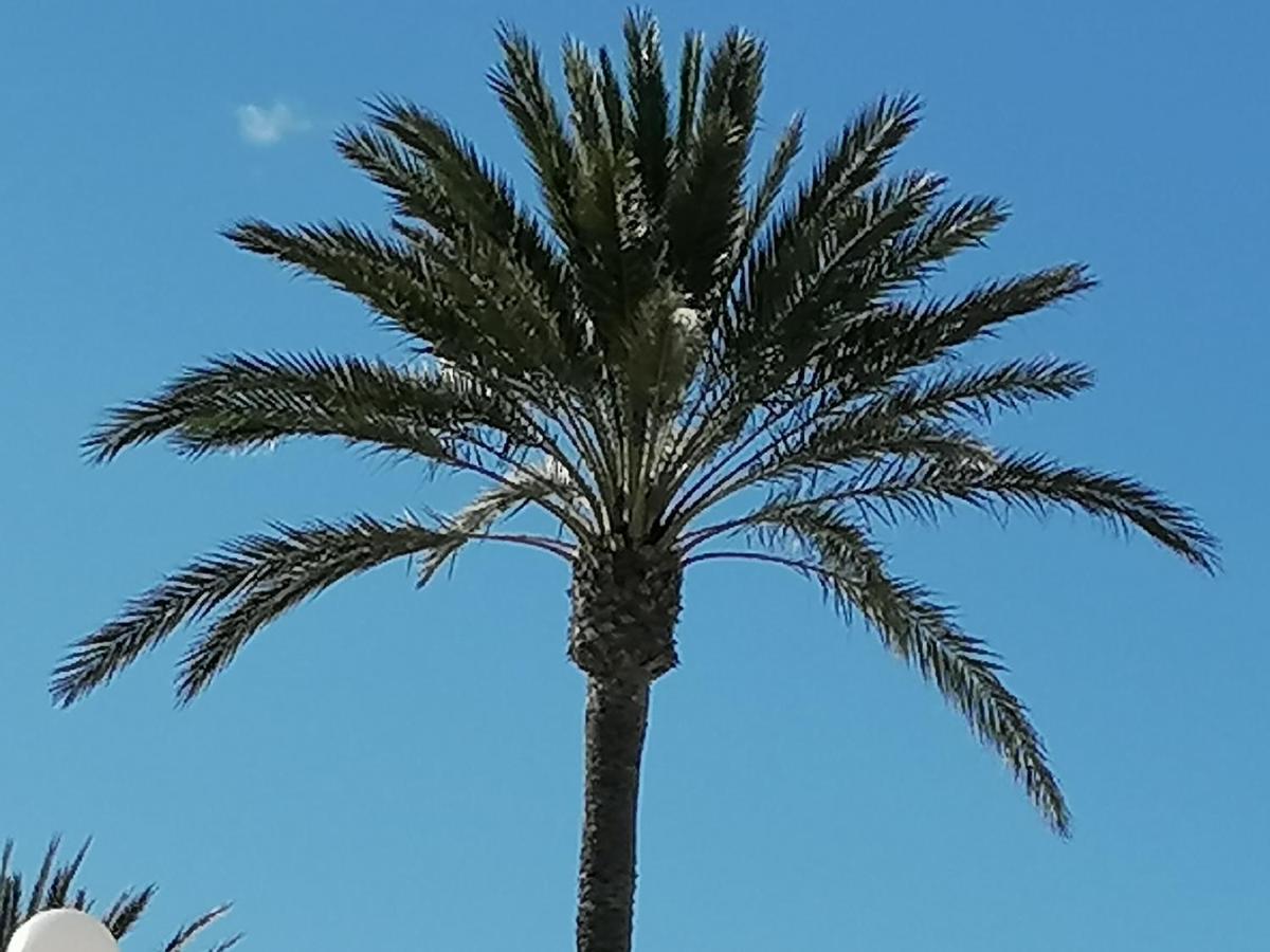 Appartamento Mirador De Aguamarina Campoamor Esterno foto